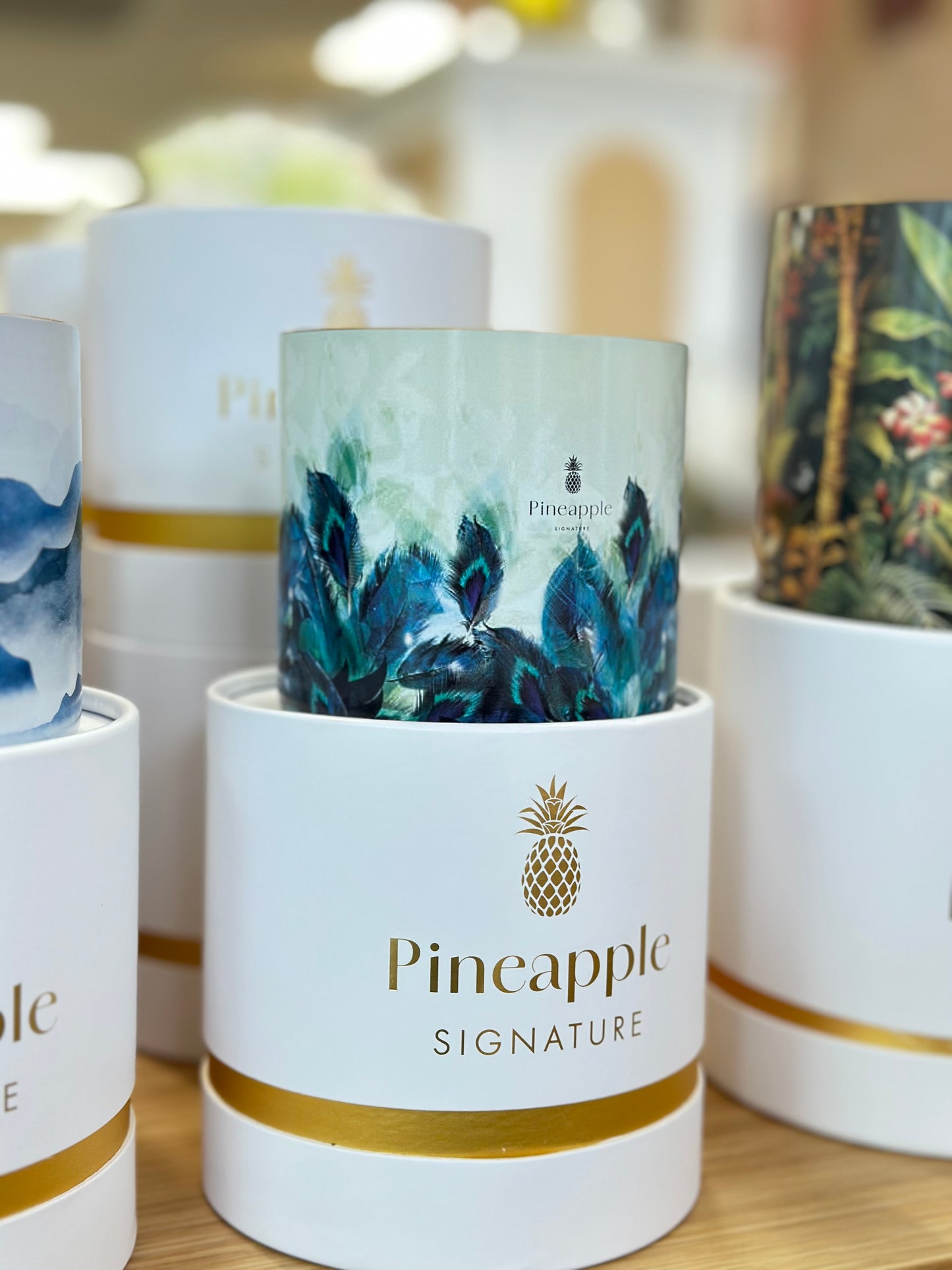 Bougie plumes enchantées