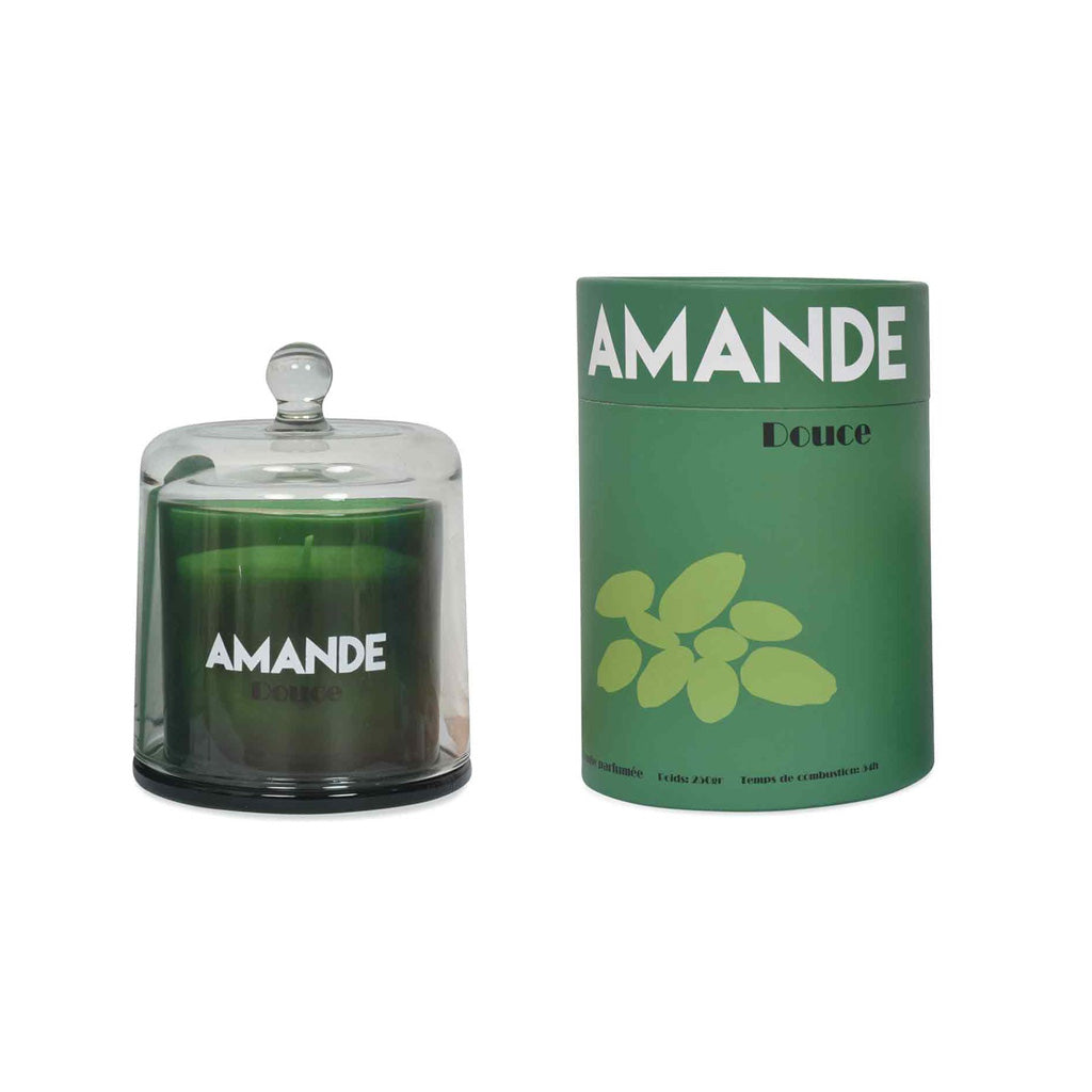 Bougie arty fruit sous cloche 250g