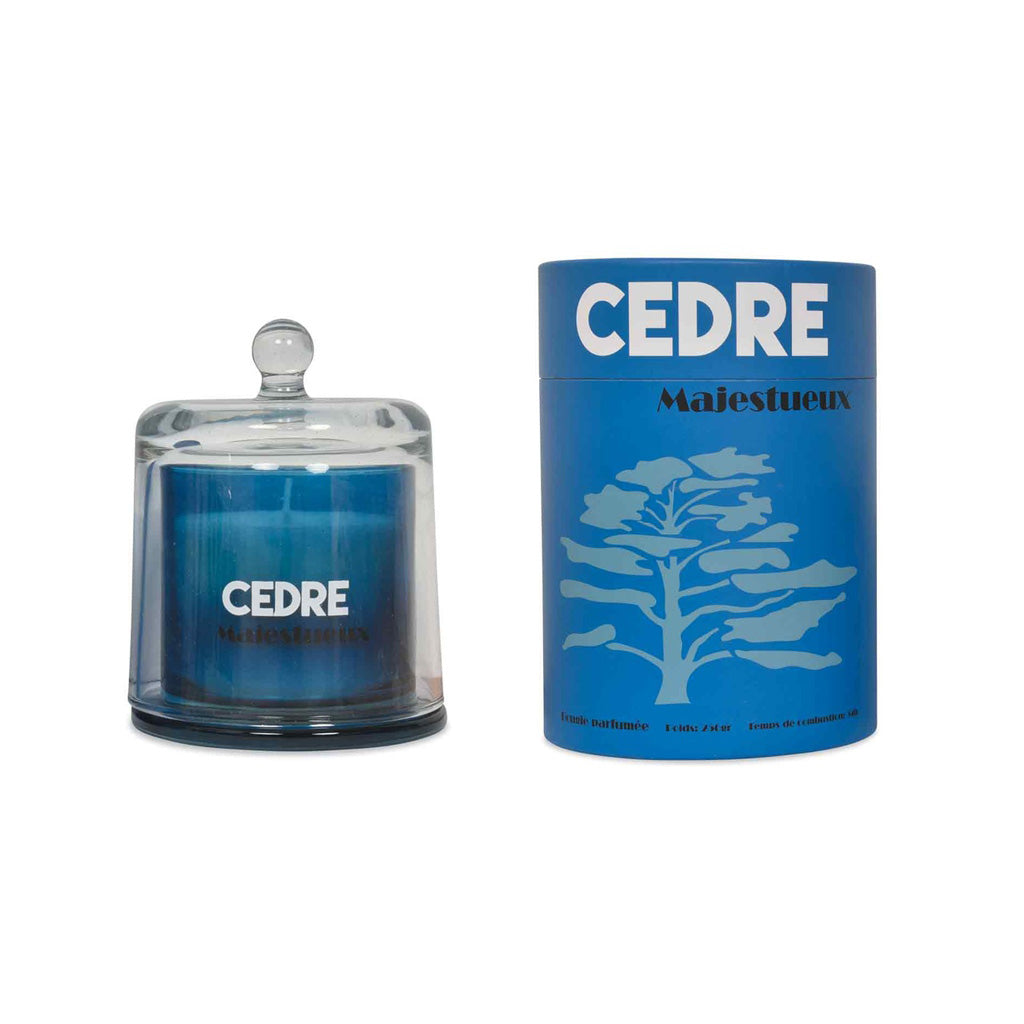 Bougie arty fruit sous cloche 250g