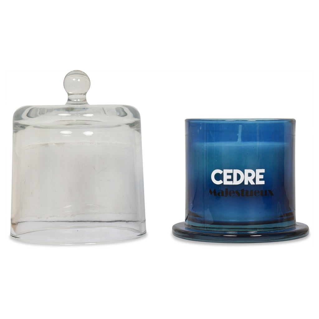 Bougie arty fruit sous cloche 250g