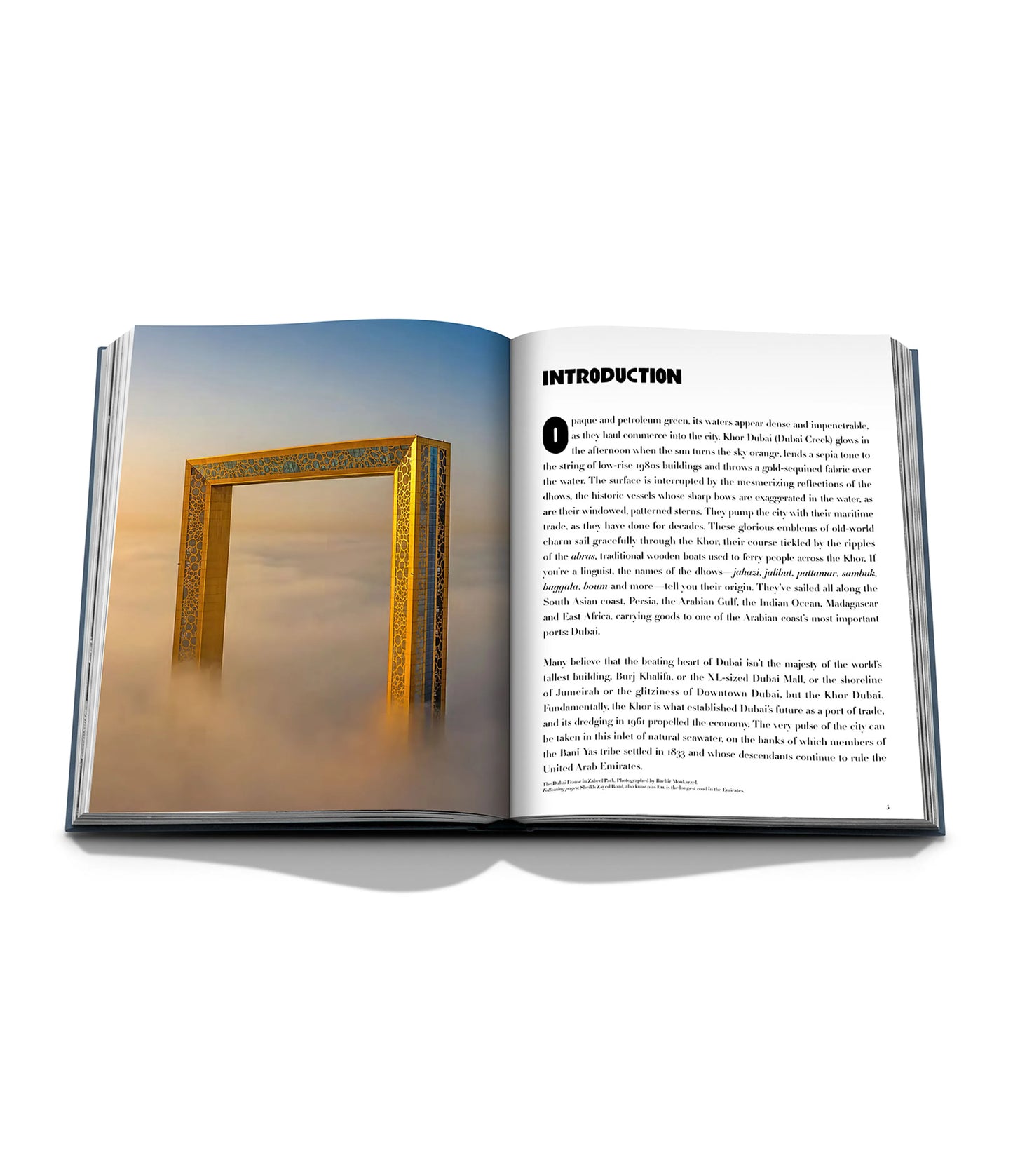 Livre Dubaï wonder