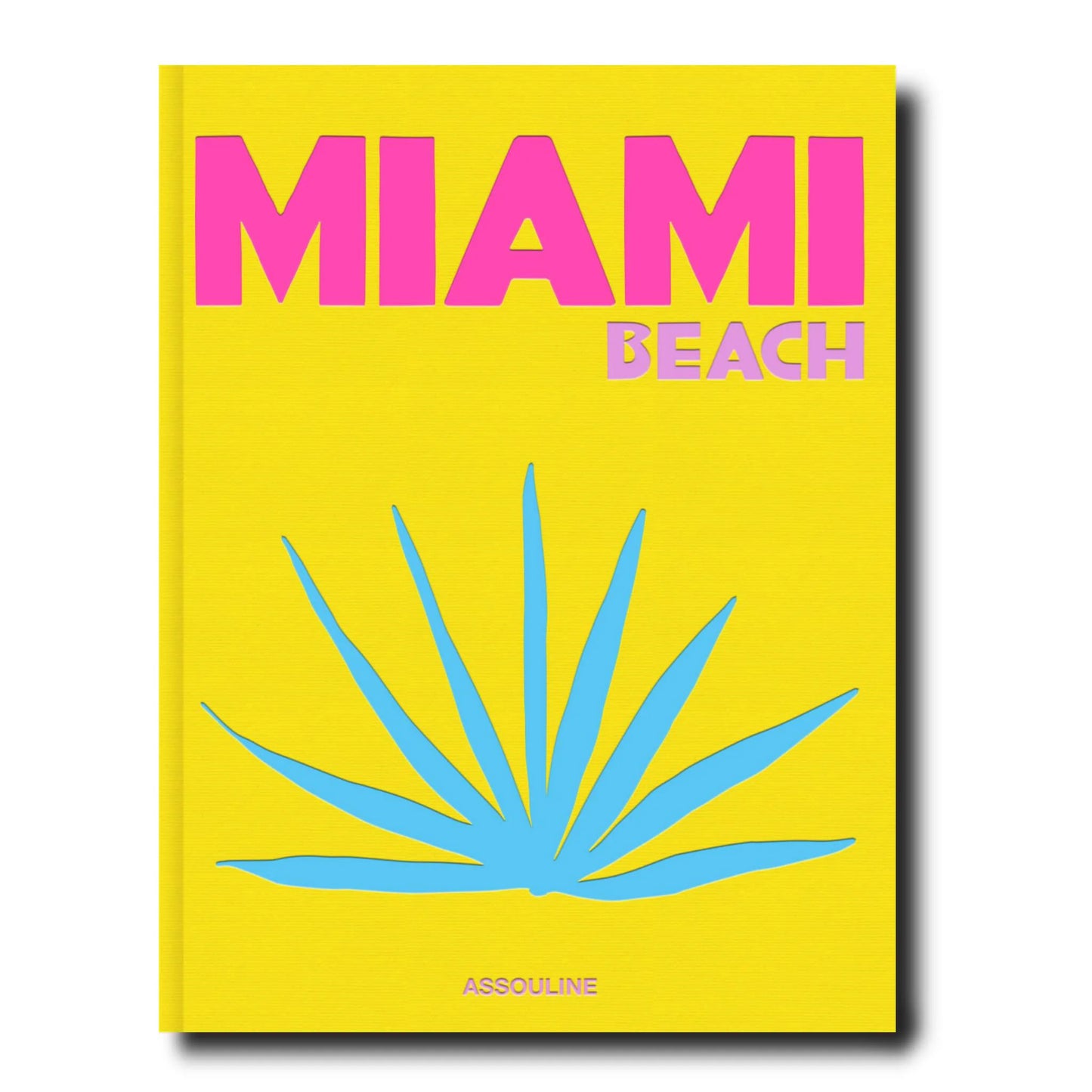 Livre Miami beach