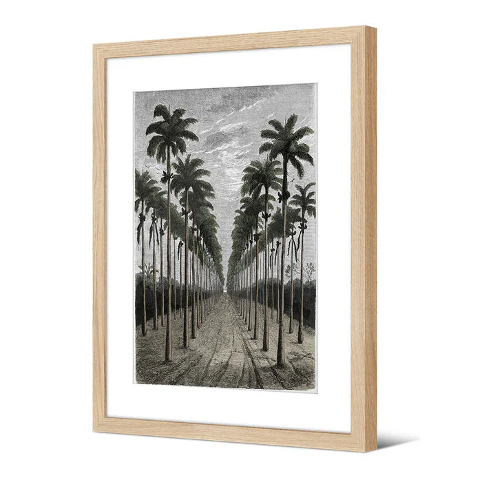 Affiche encadrée à motif palmiers hauts 30x40 cm