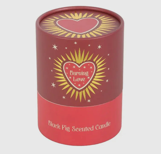 Bougie parfumée-Figue Noire