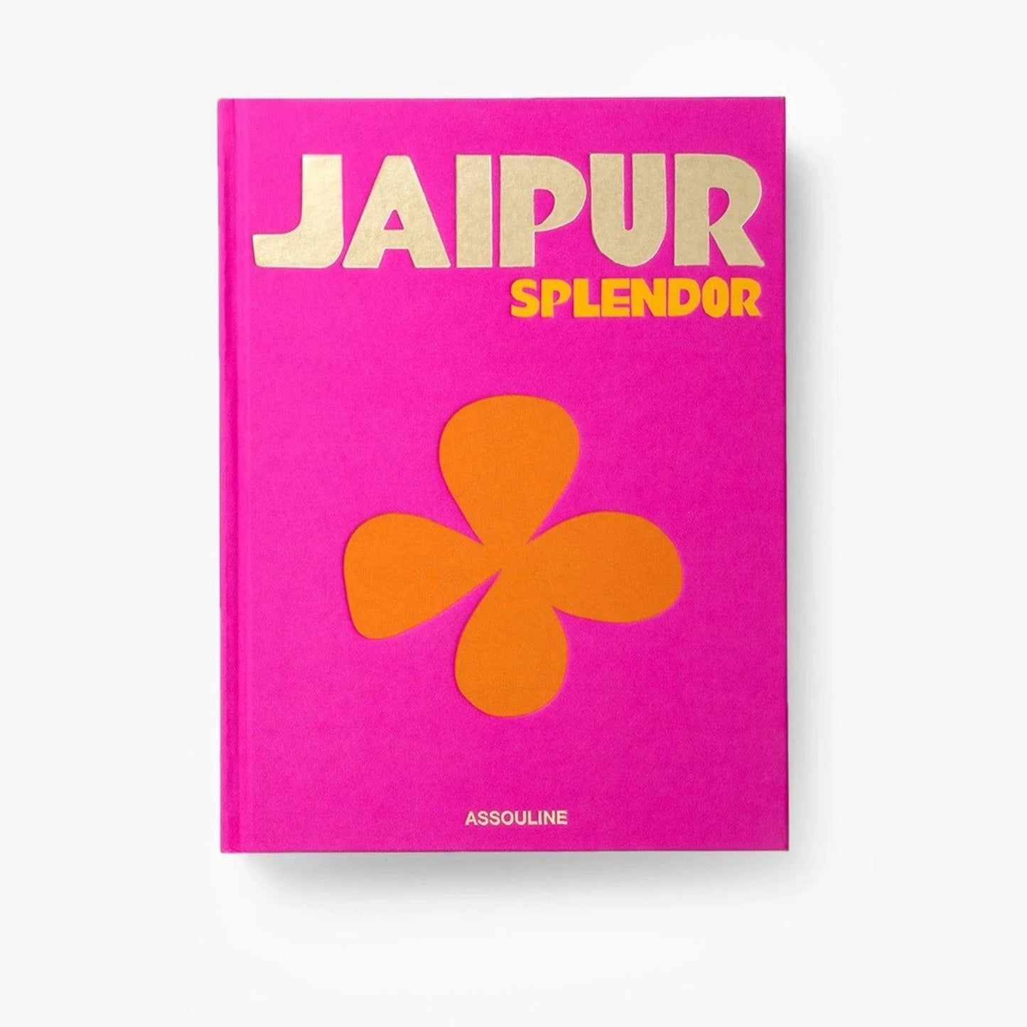 Livre Jaipur splendor