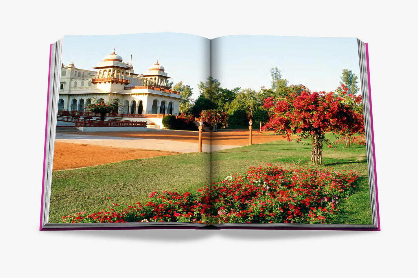 Livre Jaipur splendor